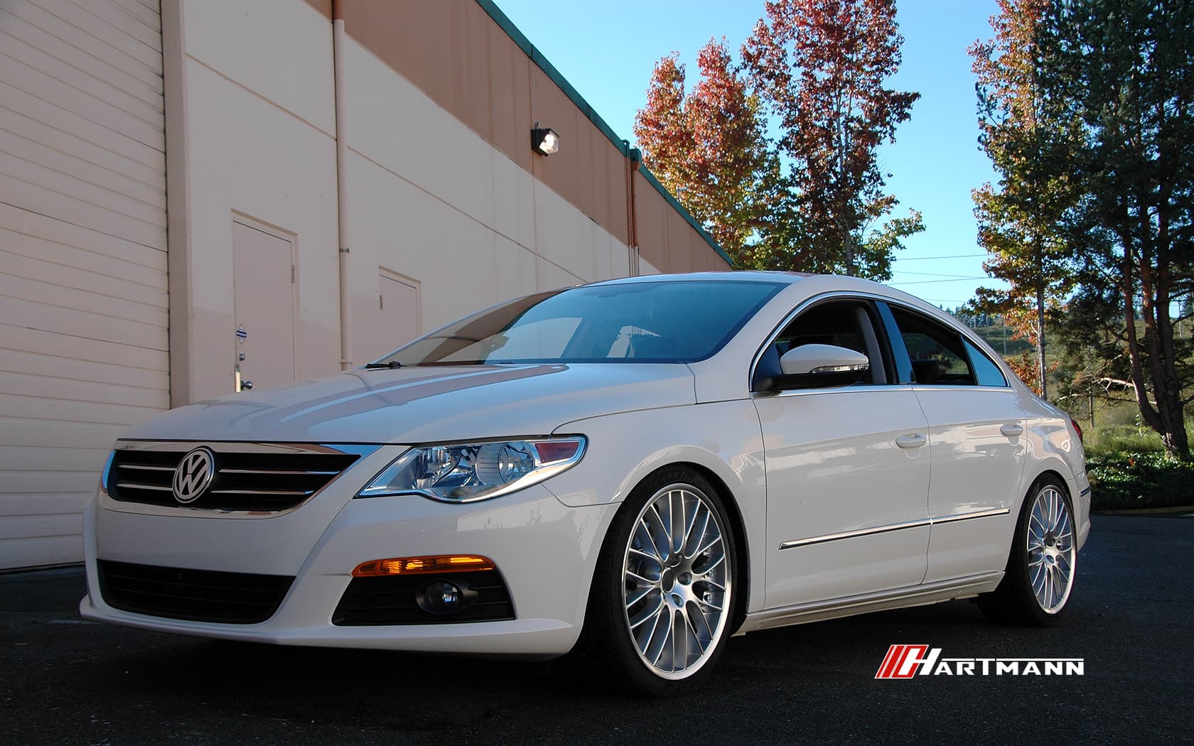 Volkswagen CC Hartmann Wheels Euromesh 3 19 DS2