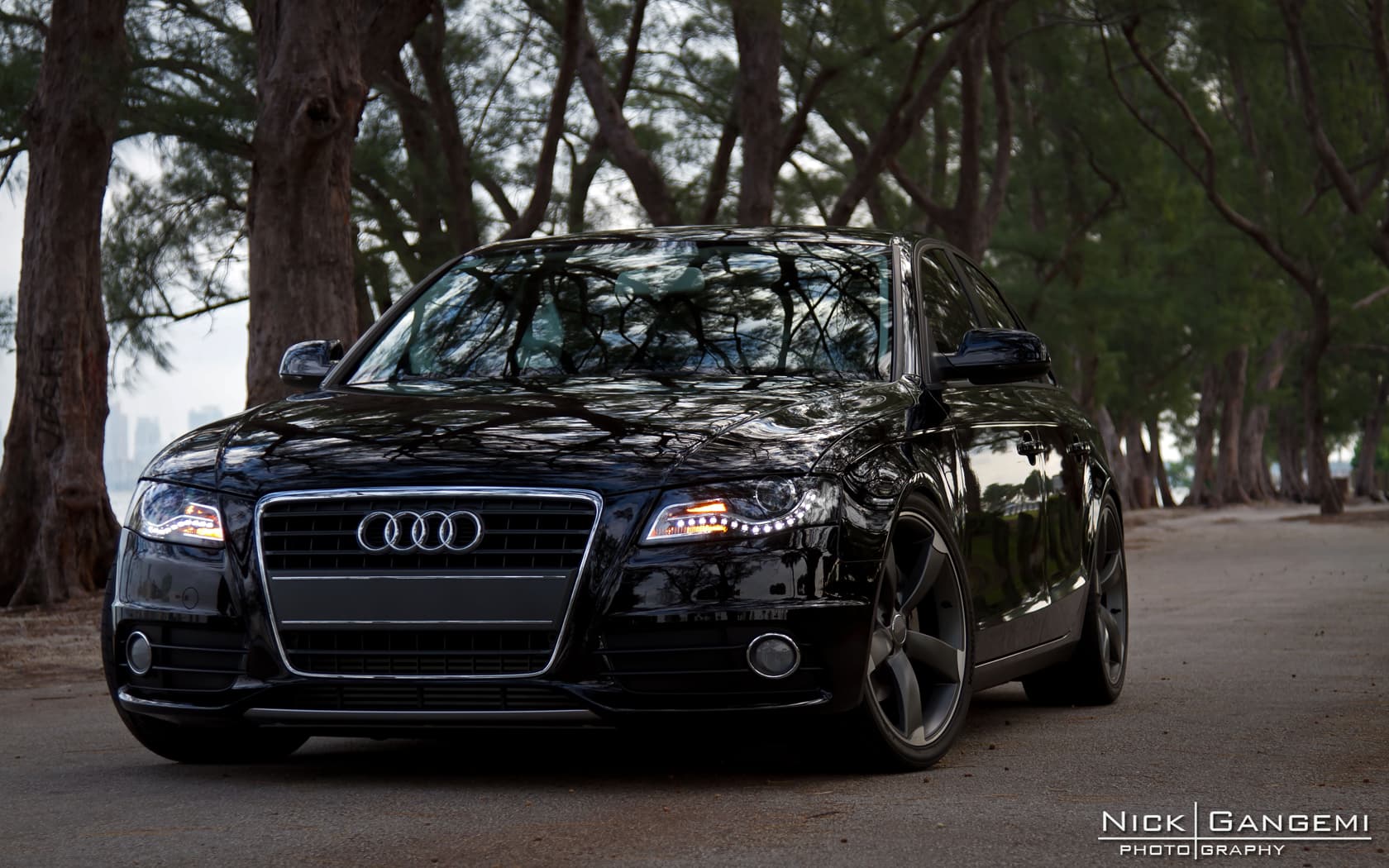 Audi B8 A4 Hartmann Wheels HTT 256 MAM 19 NG2